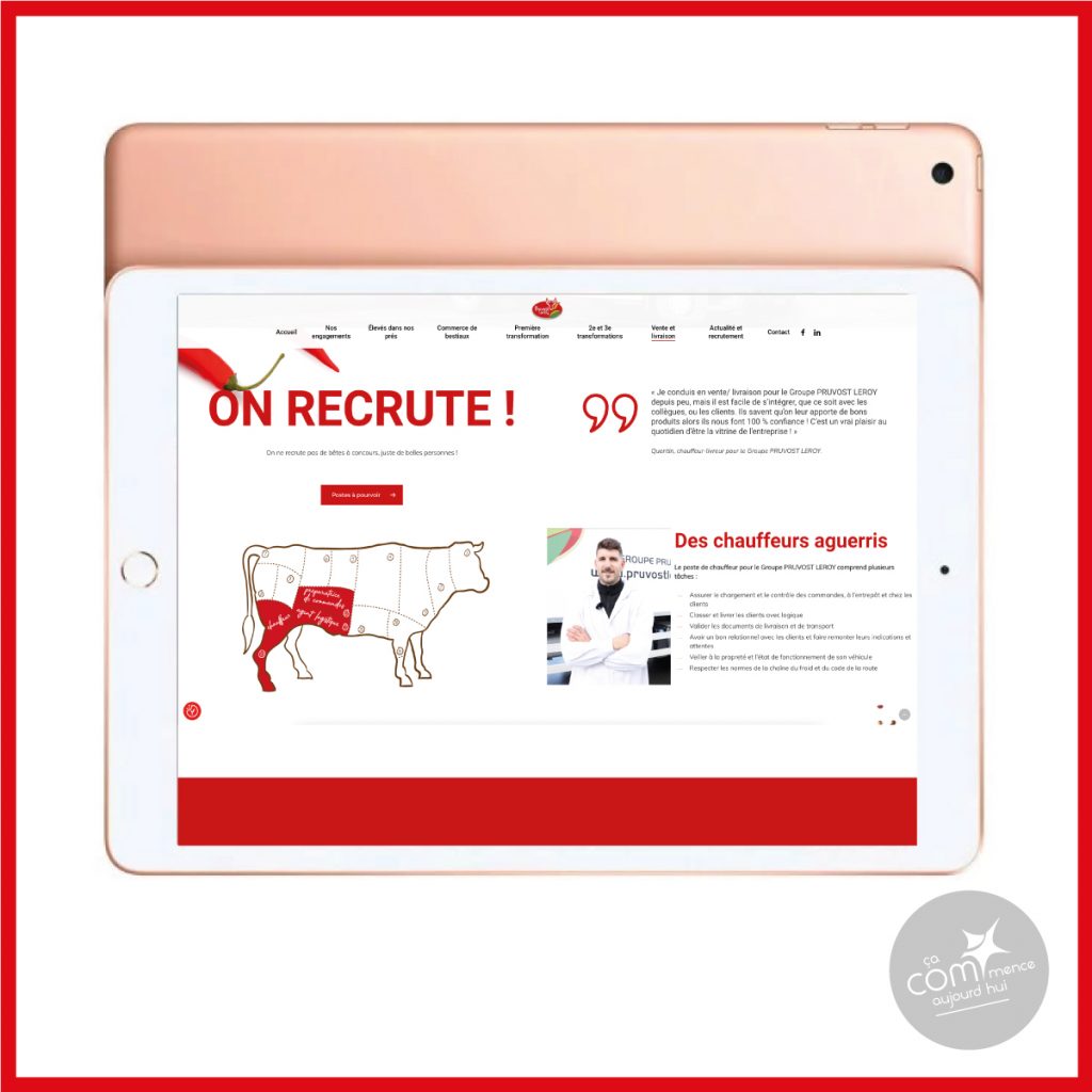 confiance pruvost leroy agence web